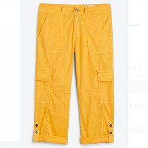 Cosmic Blue Love Cleo Cargo Capri Pant - Gold - 30